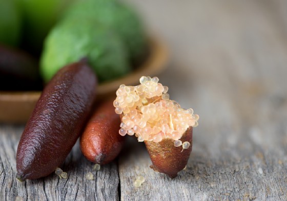 Finger Lime, viene dall’Australia l’agrume che sembra caviale