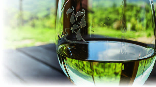 Vino: viaggio nel Collio/Brda, là dove abita la Ribolla Gialla