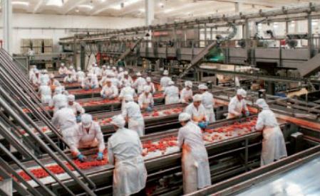 Rosso Gargano, dalla Puglia alle vostre tavole