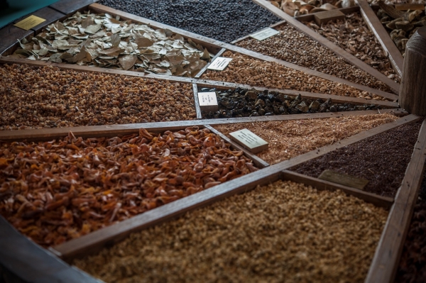 Branca nuovamente protagonista di Museo City