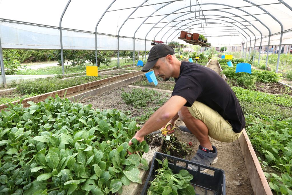 Azienda vitivinicola Ceretto, visite guidate all’Orto Piazza Duomo