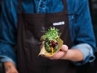 Ikea, ecco le nuove specialità allo studio (a base di ingredienti alternativi)