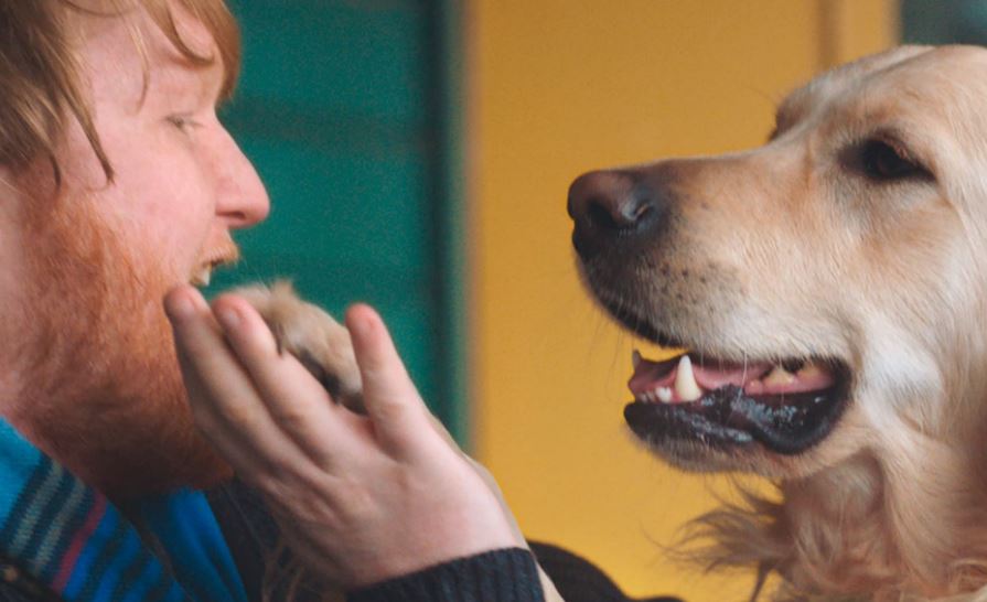 Burger King realizza i desideri di un fan grazie al cane Flynn