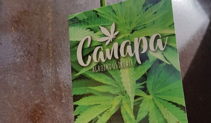 Canapa, le regole del Ministero dell'agricoltura sulla coltivazione