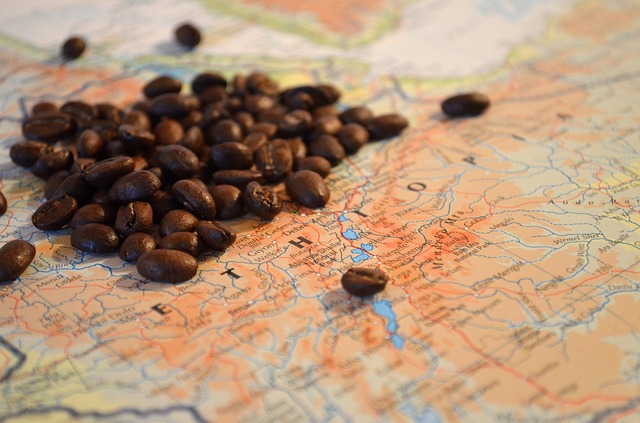 Il Bigino: orientarsi tra le varietà di caffè 