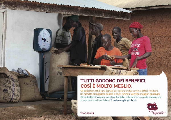 Everton, unica azienda italiana di tè certificata UTZ