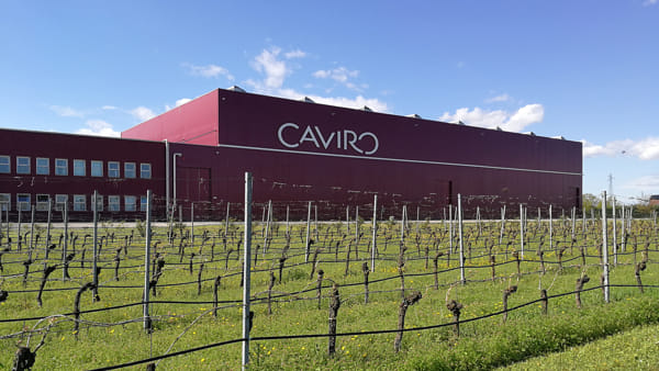 Caviro: il fatturato 2018 cresce del 4,6%, a 330 milioni di euro