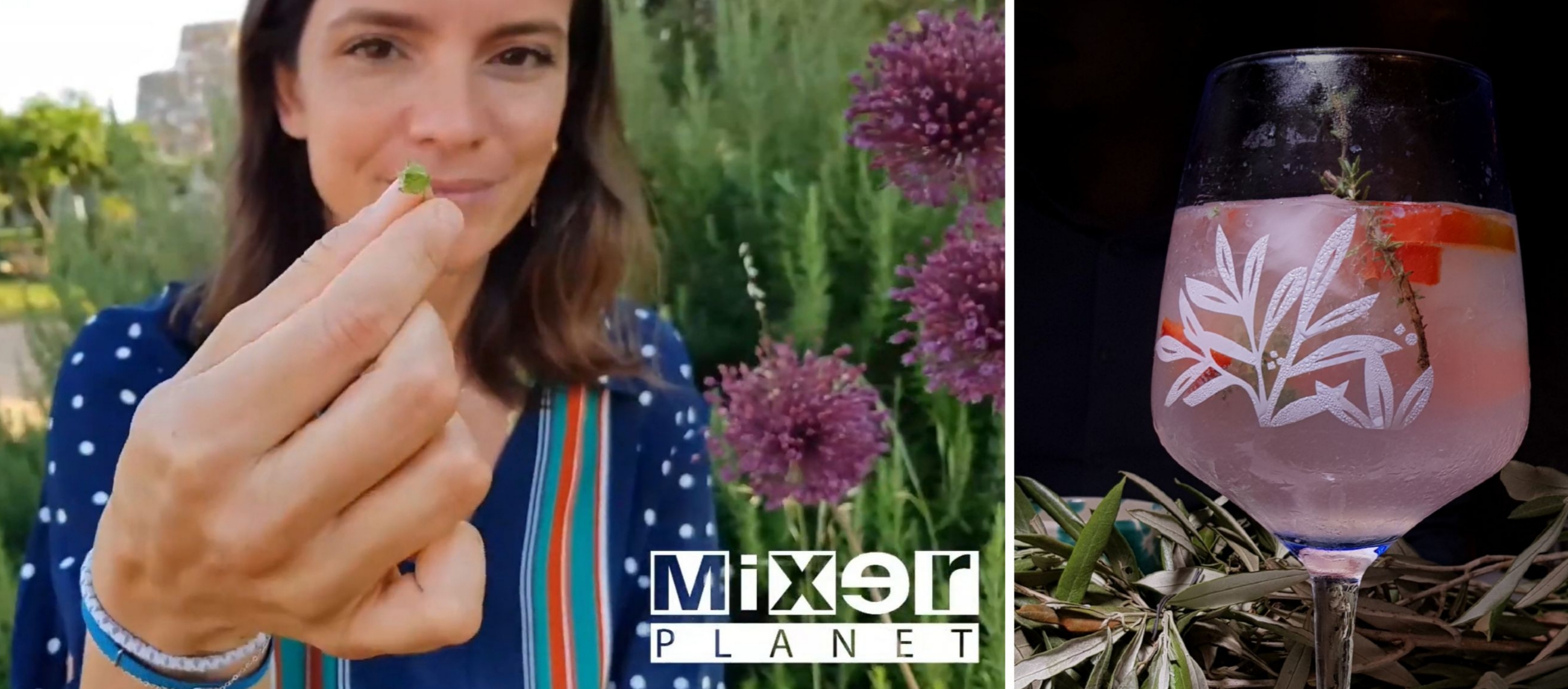 Malva, foglie di fico e… Valeria Mosca: create drink selvatici! VIDEO