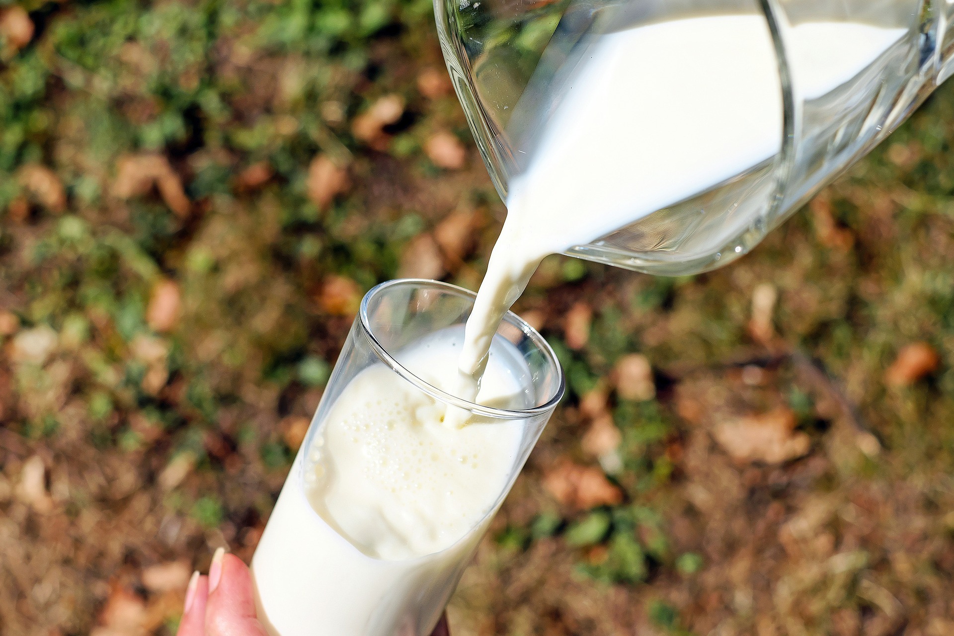 Il latte alimento salutare, ma i consumi sono in calo