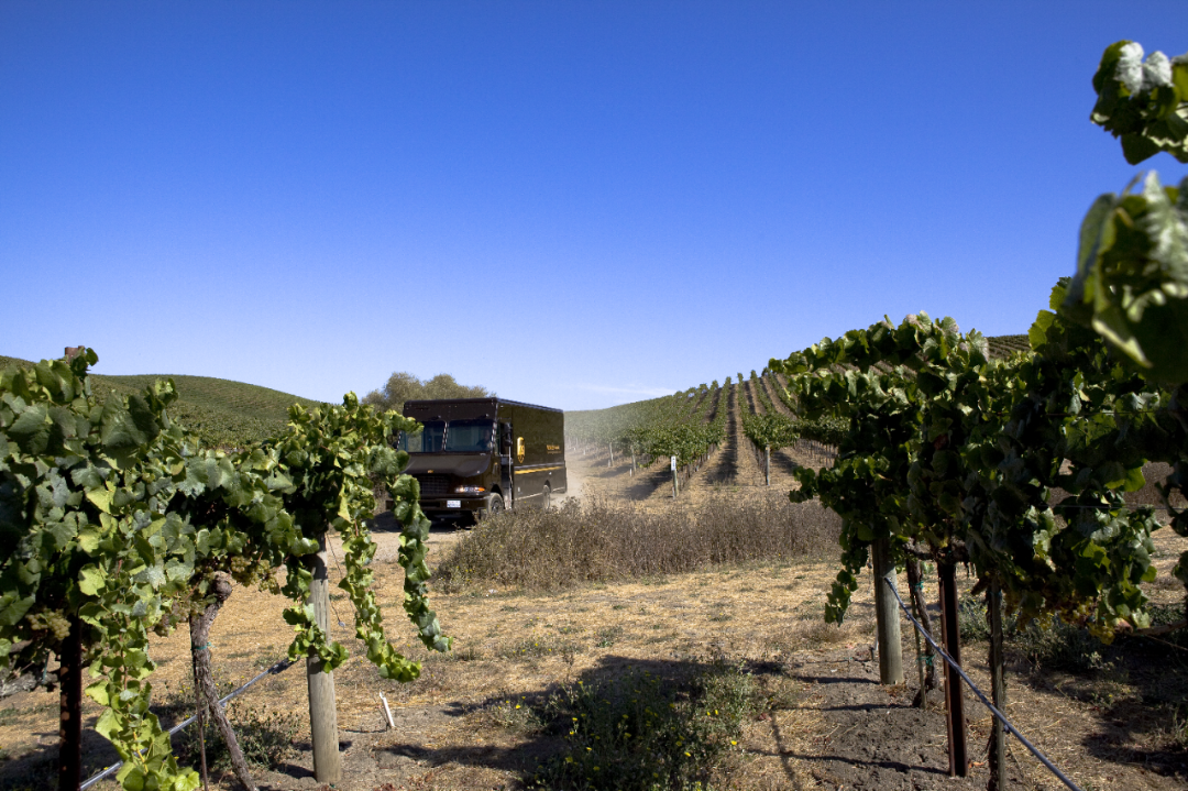 UPS, sulle infinite strade del vino e come tutelarlo