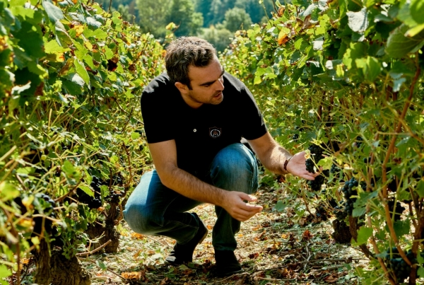 Dallo Chardonnay alla Rosa di Damasco: le parole dello Champagne fra storia e curiosità