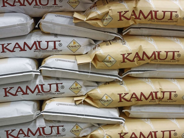 Trend di vendita positivo per il grano khorasan Kamut