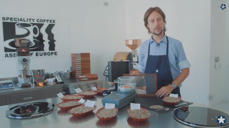 Master Roasters: il caffè verde. VIDEO