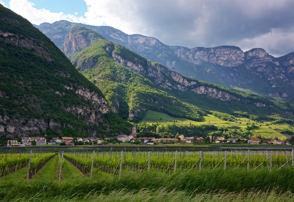 Tenuta Alois Lageder, vendemmia: 