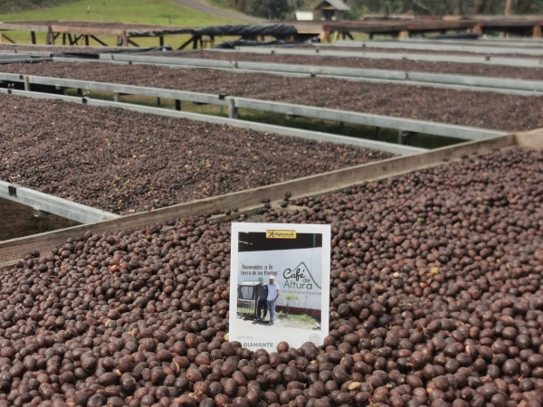Ditta Artigianale, prosegue il viaggio intorno al mondo dei caffè d'eccellenza