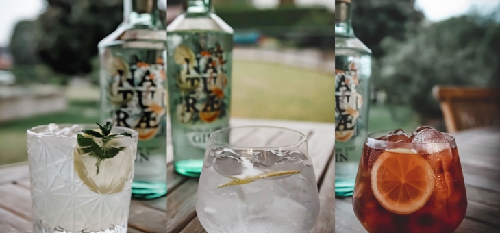 Naturæ Gin, le ricette di tre cocktail