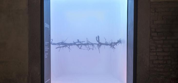 Ferrari Giovanni ancora partner di Platea | Palazzo Galeano