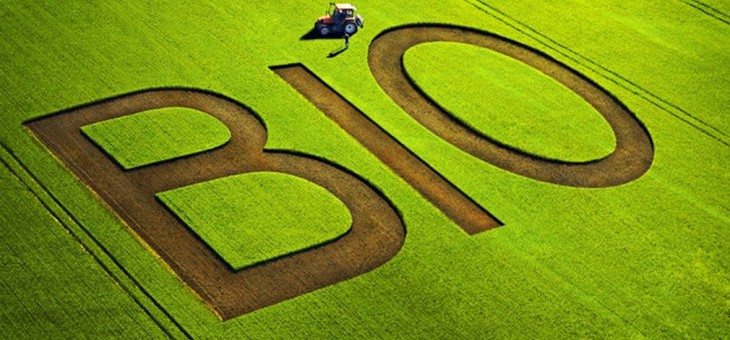 La Camera approva la legge su agricoltura biologica