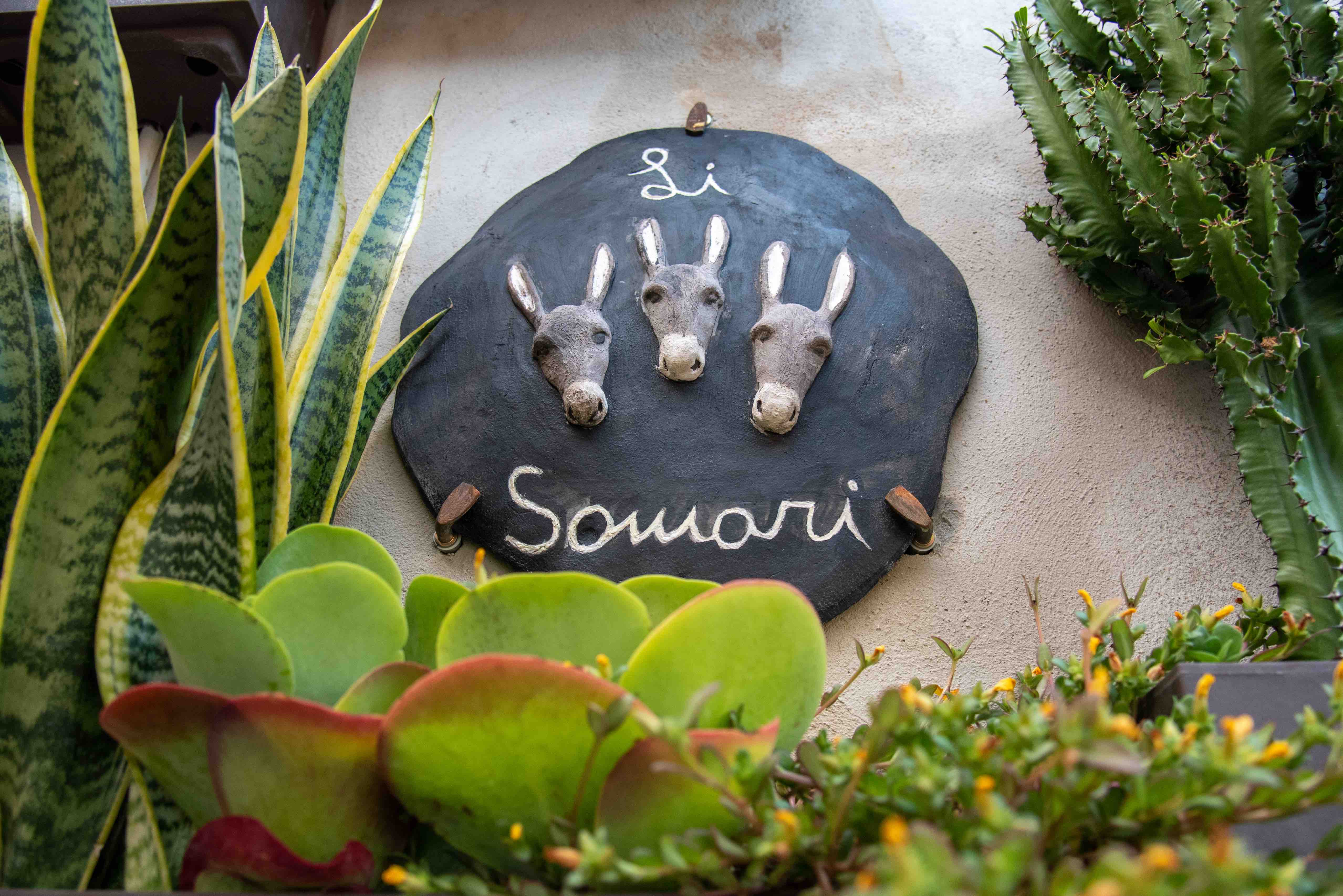 Tivoli, sosta a Li Somari per il meglio della cucina laziale